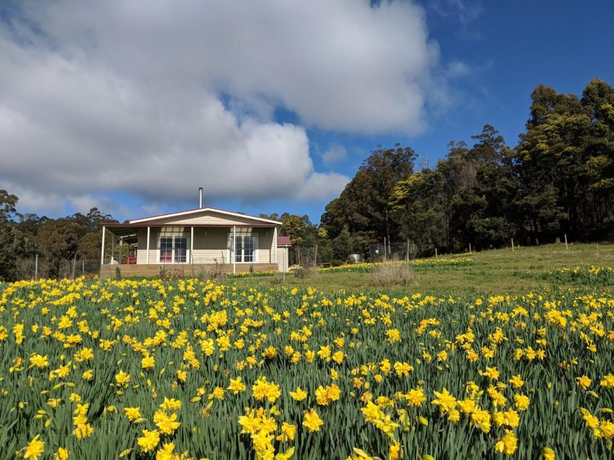 Mountain Blue Guest House Deloraine Exterior foto